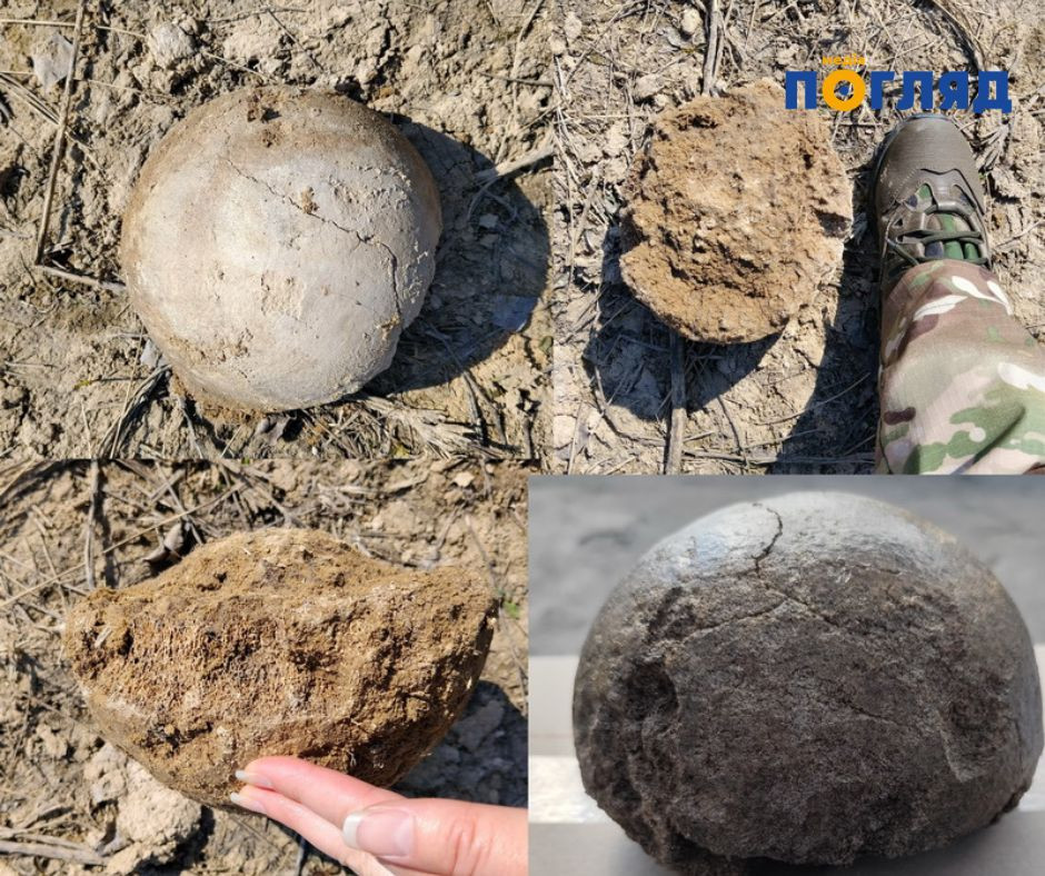 Під Переяславом знайшли рештки мамонта, яким понад 250 століть (ФОТО) - зображення